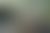 DSC 4765