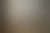 1FM4219