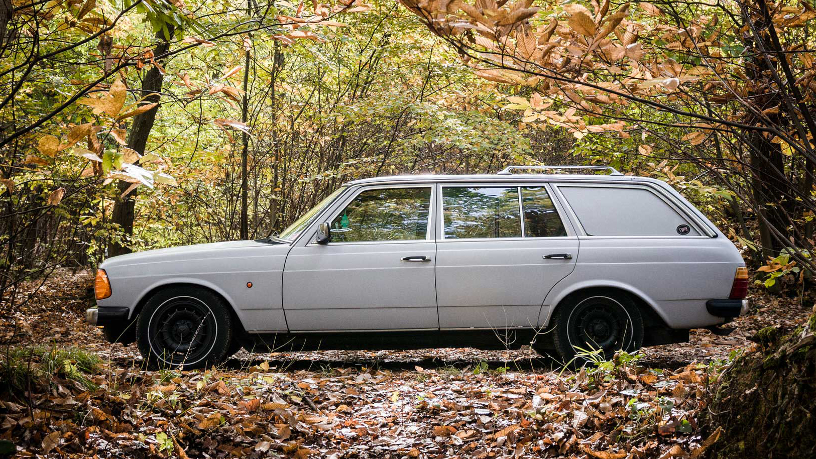 141 FilippoMolena NEC Merc+Toyo 1FM5923