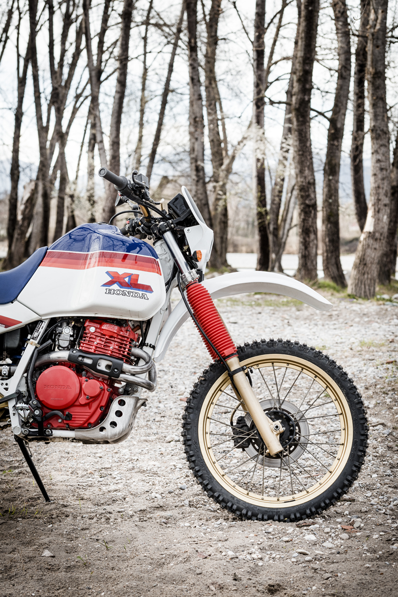 26 FilippoMolena NEC HondaDom L FRD7204