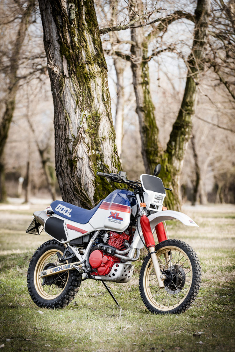52 FilippoMolena NEC HondaDom L FRD7233